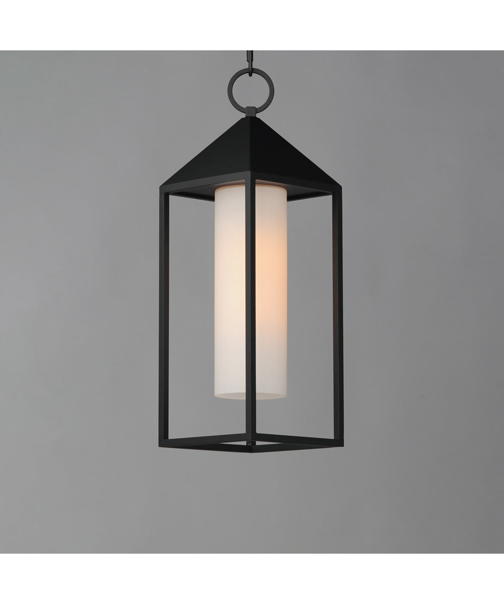 Aldous 1-Light Outdoor Pendant Black