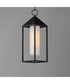 Aldous 1-Light Outdoor Pendant Black