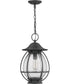 Boston Large 1-light Outdoor Pendant Light Mottled Black