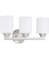 Bolden 3-Light Bath Vanity Light Brushed Polished Nickel