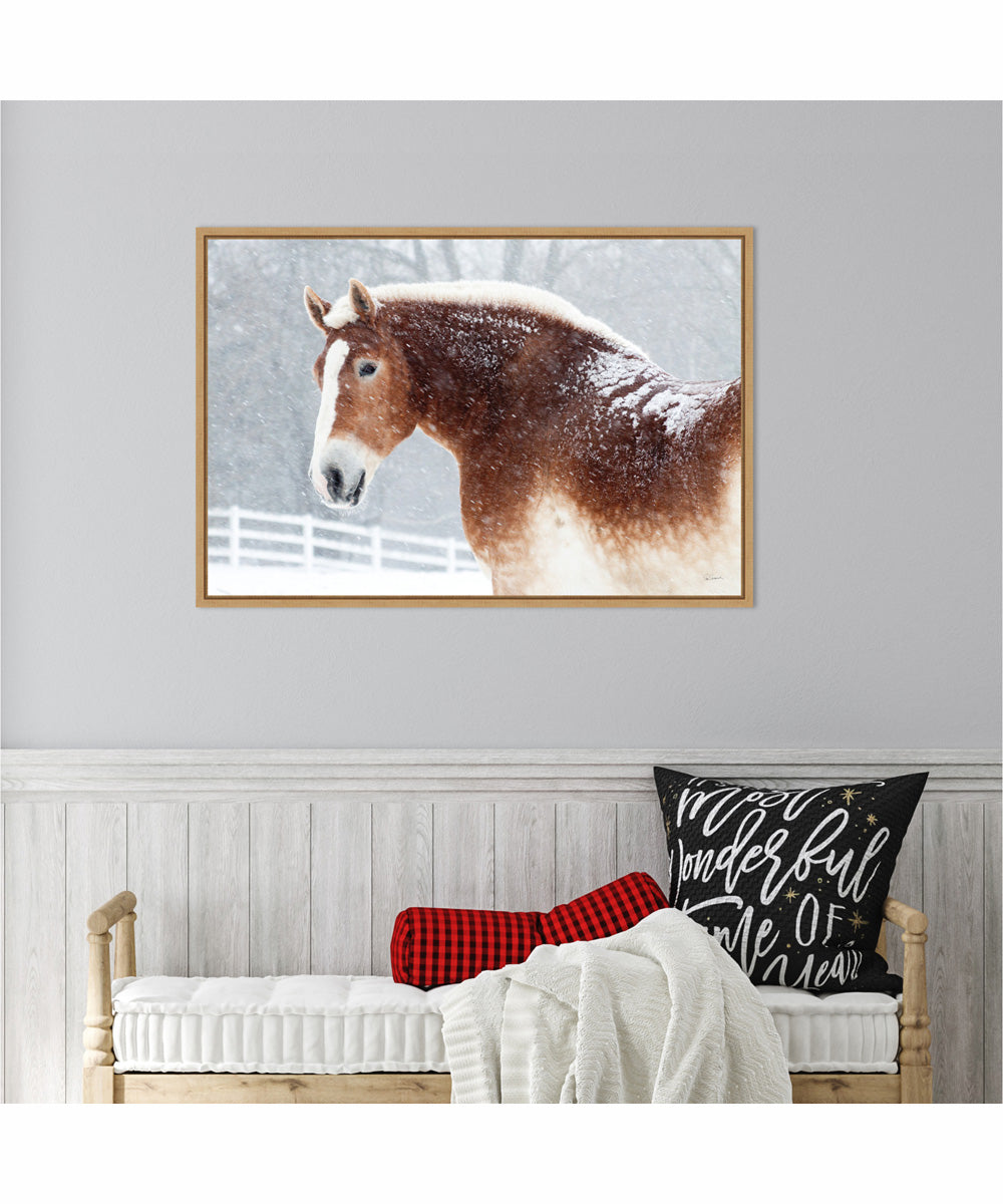 Framed Snowy Draft Horse by Sue Schlabach Canvas Wall Art Print (33  W x 23  H), Sylvie Maple Frame