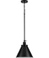 Hinton 1-Light Vintage Style Hanging Pendant Light Matte Black