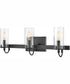 Ryden 3-Light Three Light Vanity in Black