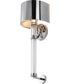 Teagon 1-Light Vanity & Wall Polished Nickel