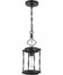 Jolenne 1-Light Mini Pendant Flat Black
