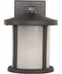 Resilience Lanterns 1-Light Outdoor Wall Lantern Bronze
