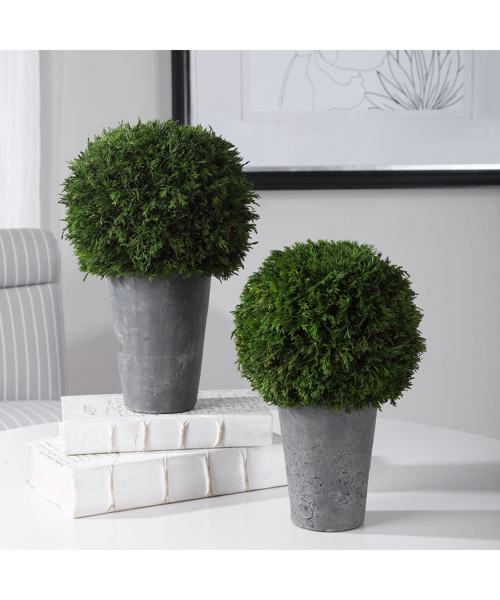 Cypress Globes, Set of 2