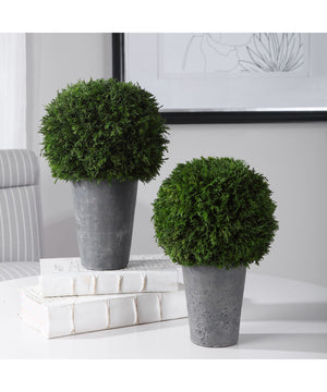 Cypress Globes, Set of 2