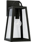 Leighton 1-Light Outdoor Wall-Lantern Rain or Shine - Black