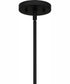 Seigler 4-light Pendant Matte Black