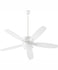 Outdoor Ceiling Fans