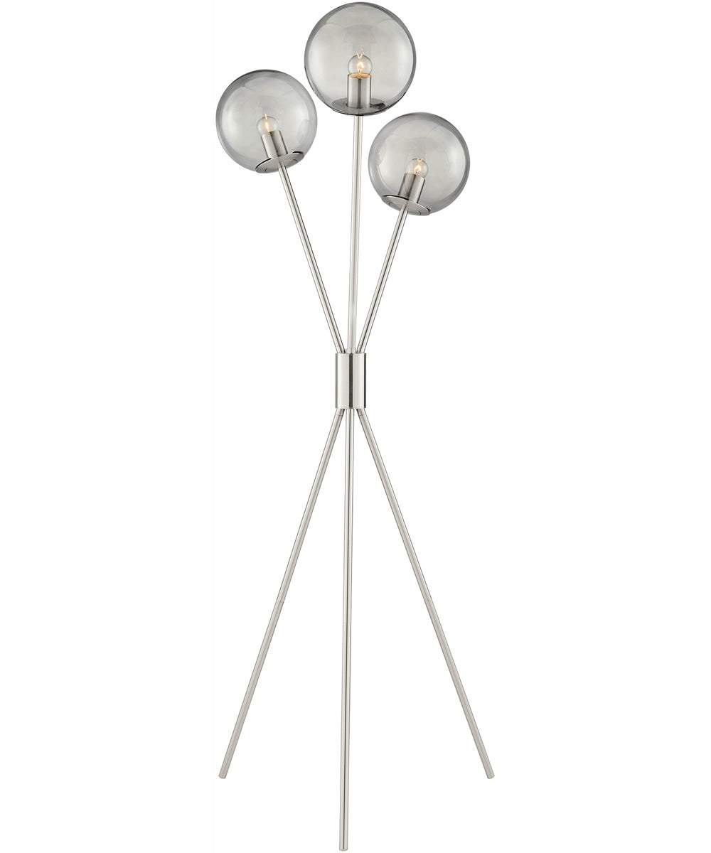 Lancy 3-Light 3-Light Floor Lamp Brushed Nickel/Smoke Glass