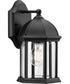 Dillard 1-Light Traditional Clear Glass Outdoor Wall Lantern Textured Black