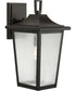 Padgett 1-Light Transitional Clear Seeded Glass Outdoor Wall Lantern Antique Bronze