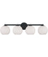 Ansley 4-Light Vanity Matte Black