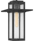 Randall Large 1-light Outdoor Pendant Light  Coastal Armour Aluminum Mottled Black