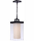 Hayner 1-Light Outdoor Pendant Midnight