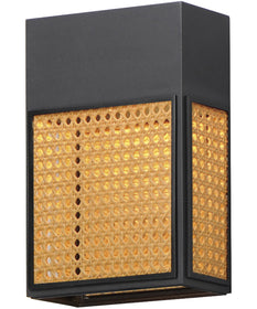 Lattice 12 inch LED Outdoor Sconce Dark Sky Black
