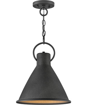 Winnie 1-Light Small Pendant in Aged Zinc