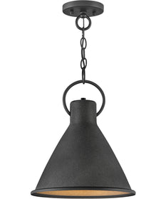 Winnie 1-Light Small Pendant in Aged Zinc