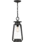 Sutton Large 1-light Outdoor Pendant Light Speckled Black