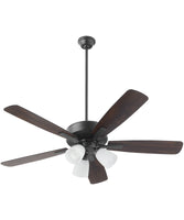 Ceiling Fans with Lights