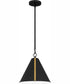 Quoizel Piccolo Pendant 1-light Mini Pendant Matte Black