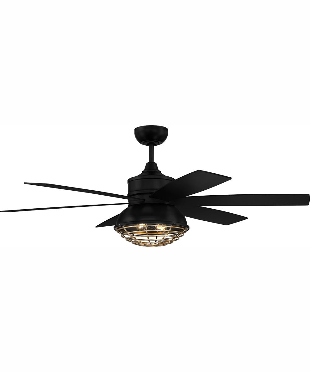 52" Rugged 2-Light Indoor/Outdoor Ceiling Fan Flat Black/Satin Brass