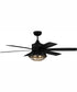 52" Rugged 2-Light Indoor/Outdoor Ceiling Fan Flat Black/Satin Brass