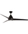 Ceiling Fans and Accessories