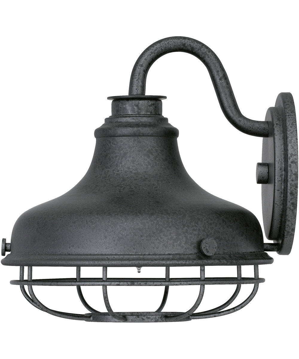 Saluda Large 1-light Outdoor Wall Light Distressed Iron