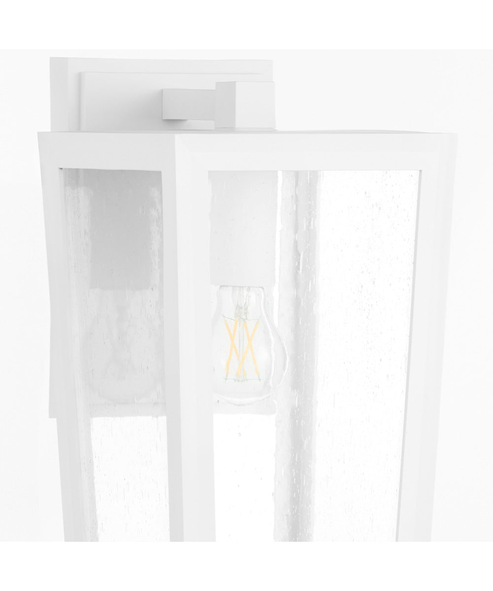 Bravo 1-light Wall Mount Light Fixture White