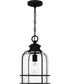 Bowles 1-light Mini Pendant Earth Black