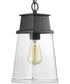 Greene Ridge 1-Light Hanging Lantern Textured Black
