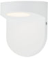 Ledge LED Outdoor Wall Sconce White