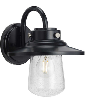 Tremont 1-Light Clear Seeded Glass Farmhouse Style Medium Outdoor Wall Lantern Matte Black