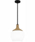 Quoizel Piccolo Pendant 1-light Mini Pendant Matte Black