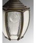 Roman Coach 1-Light Hanging Lantern Antique Bronze