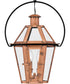 Burdett Medium 2-light Outdoor Pendant Light Aged Copper