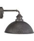 Englewood 1-Light Medium Wall Lantern Antique Pewter
