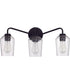 Shayna 3-Light Vanity Flat Black