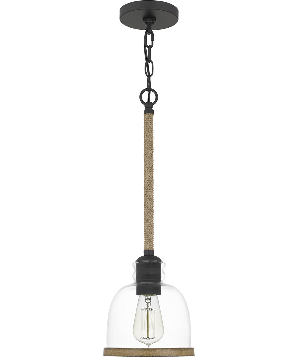 Wagner Small 1-light Mini Pendant Matte Black