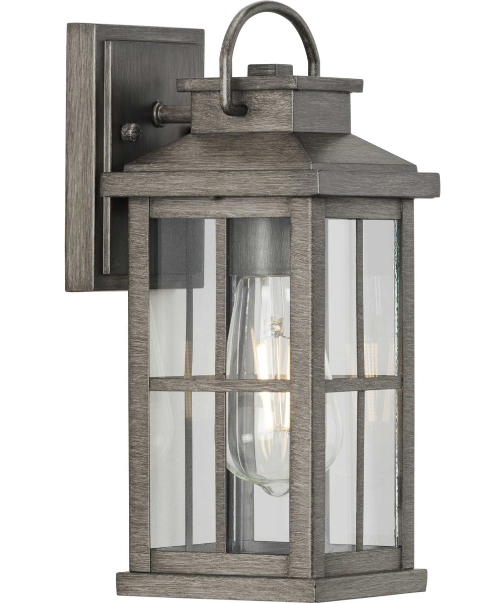 Williamston 1-Light Clear Glass Transitional Style Small Outdoor Wall Lantern Antique Pewter