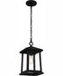 Satterfield Large 1-light Outdoor Pendant Light  Coastal Armour Matte Black
