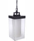Hayner 1-Light Outdoor Pendant Midnight