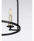 Seneca 4-Light Farmhouse Pendant Light Matte Black