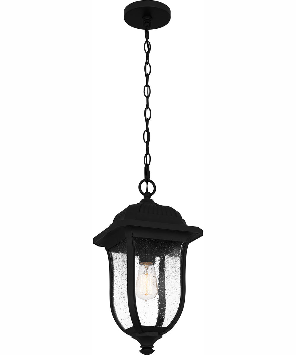 Mulberry Large 1-light Outdoor Pendant Light  Coastal Armour Matte Black