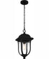 Mulberry Large 1-light Outdoor Pendant Light  Coastal Armour Matte Black