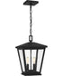 Joffrey Large 2-light Outdoor Pendant Light Matte Black