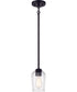 Shayna 1-Light Mini Pendant Flat Black